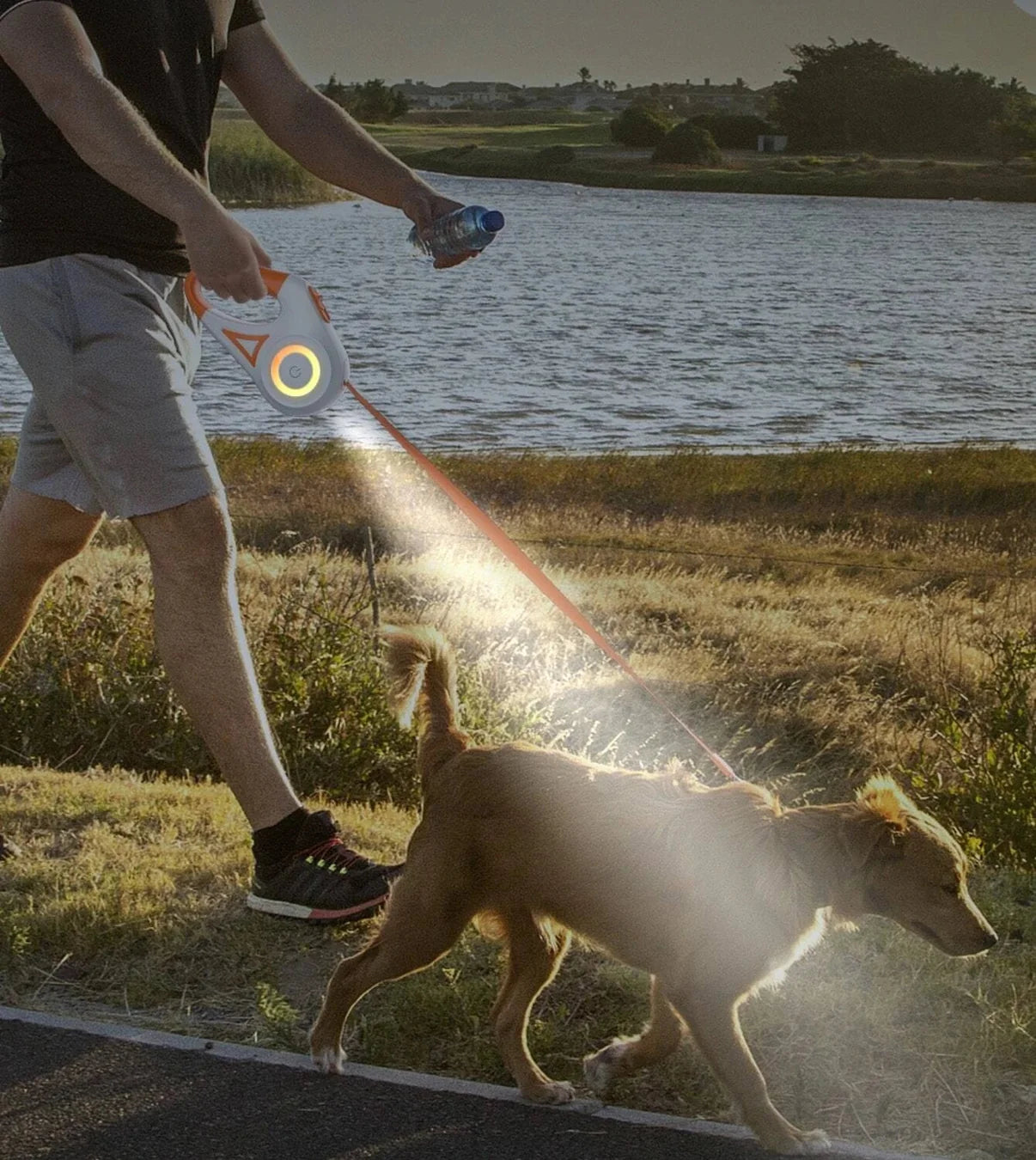 NightSafe™ - Dog Leash with LED Flashlight